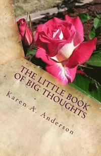 bokomslag The Little Book of BIG Thoughts-Vol. 1