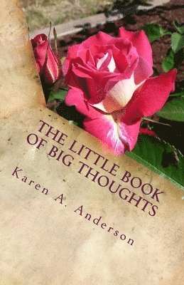 bokomslag The Little Book of BIG Thoughts-Vol. 1