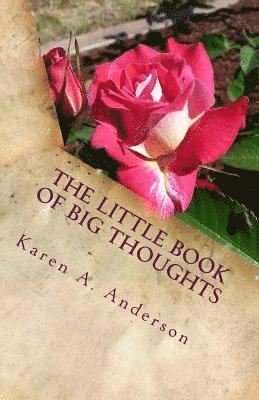 Karen a. Anderson - The Little Book of BIG Thoughts-Vol. 1, Häftad