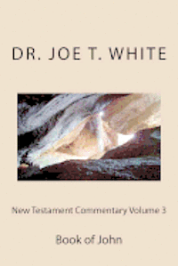 bokomslag New Testament Commentary Volume 3: Book of John