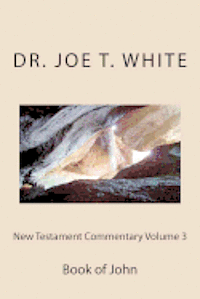 New Testament Commentary Volume 3: Book of John 1