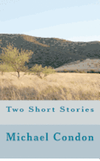 bokomslag Two Short Stories