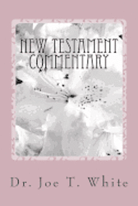 bokomslag New Testament Commentary Volume Six: 2 Corinthians, Philippians, 1 & 2 Thessalonians