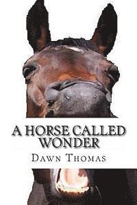 A Horse called Wonder: Hollygrove Country Estate Seies 1