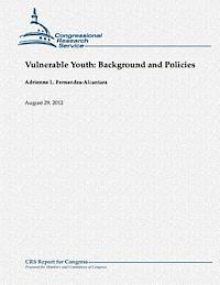 bokomslag Vulnerable Youth: Background and Policies
