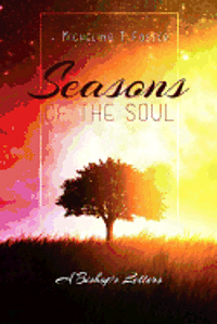 bokomslag Seasons Of The Soul: A Bishop's Letters