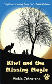 bokomslag Kiwi and the Missing Magic