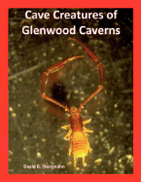 bokomslag Cave Creatures of Glenwood Caverns