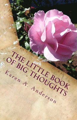 The Little Book of BIG Thoughts - Vol. 2 1