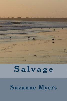 Salvage 1