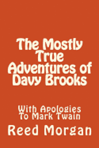 bokomslag The Mostly True Adventures of Davy Brooks