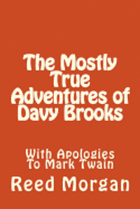 The Mostly True Adventures of Davy Brooks 1