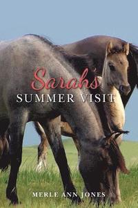 bokomslag Sarah's Summer Visit