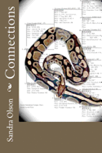 Sandra L. Olson - Connections, Häftad