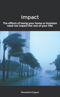 bokomslag Impact: The effects of losing your home or business need not impact the rest of your life!