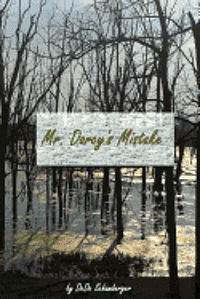 Dede Schamberger - Mr. Darcy's Mistake: A Variation on Pride and Prejudice, Häftad