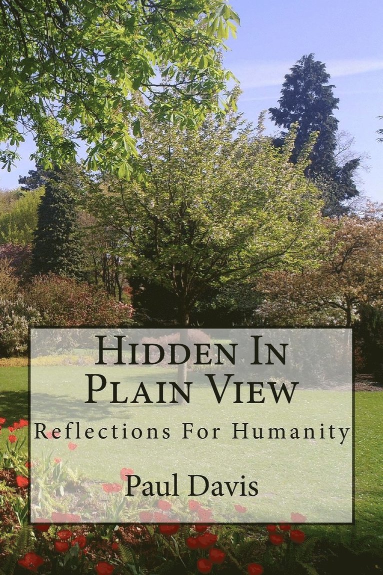 Hidden in Plain View: Volume 1 1