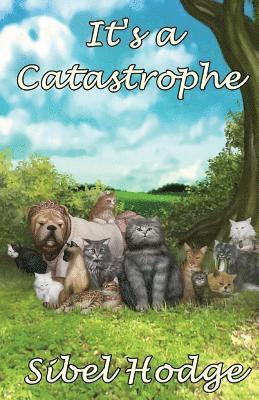 It's a Catastrophe 1