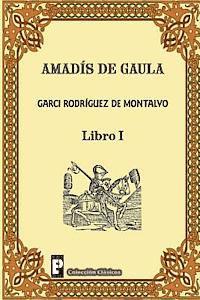 bokomslag Amadis de Gaula (Libro 1)