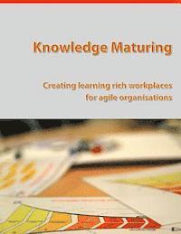 bokomslag Knowledge Maturing: Creating learning rich workplaces for agile organizations