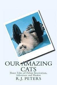 bokomslag Our Amazing Cats: Short Tales of Feline Inspiration, Adventure and Humor