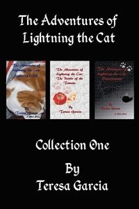 bokomslag Adventures of Lightning the Cat
