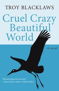 bokomslag Cruel Crazy Beautiful World