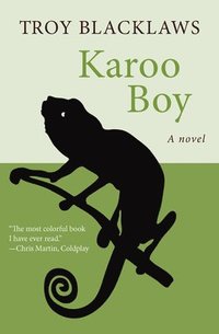 bokomslag Karoo Boy