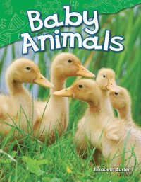 bokomslag Baby Animals