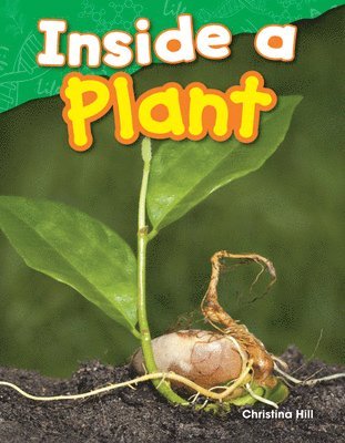 Christina Hill - Inside a Plant, Häftad