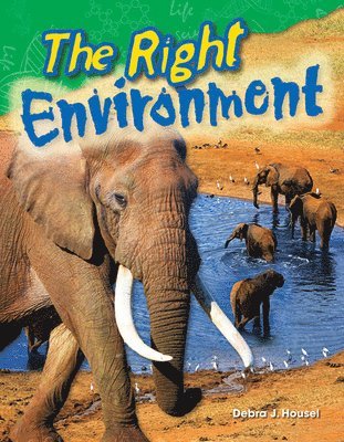 The Right Environment 1