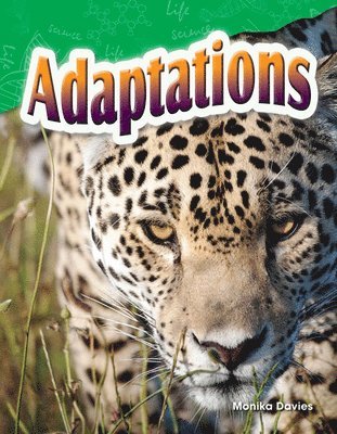 Adaptations 1