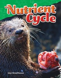 bokomslag The Nutrient Cycle