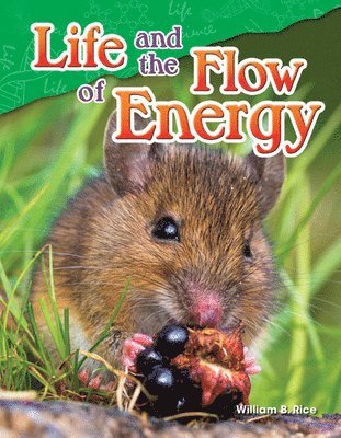 bokomslag Life and the Flow of Energy