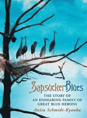 bokomslag Sapsucker Blues