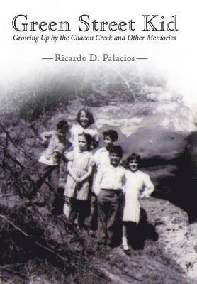 Ricardo D Palacios, Ricardo D. Palacios - Green Street Kid, Inbunden