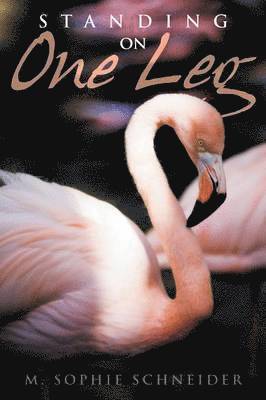 M Sophie Schneider, M. Sophie Schneider - Standing on One Leg, Häftad
