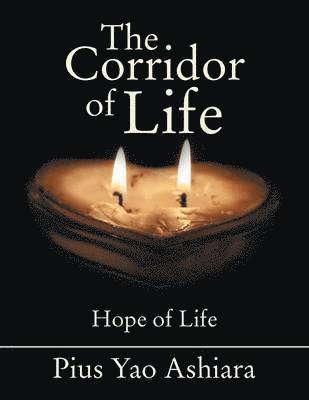 bokomslag Corridor of Life