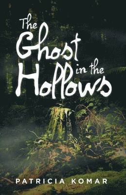 The Ghost in the Hollows 1