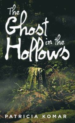 bokomslag The Ghost in the Hollows