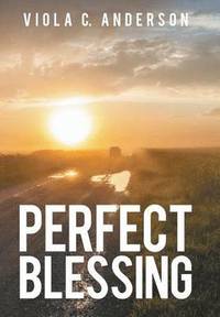 bokomslag Perfect Blessing
