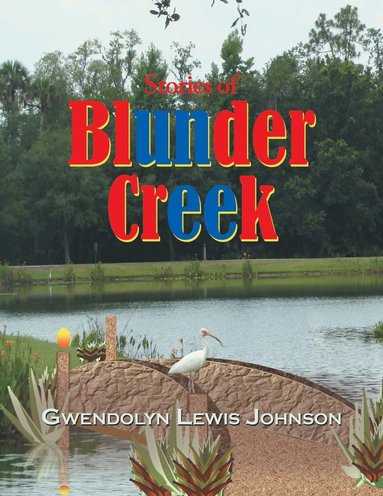 bokomslag Stories of Blunder Creek