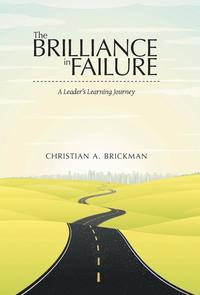 bokomslag Brilliance in Failure