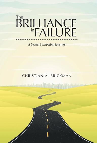 bokomslag Brilliance in Failure
