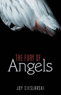 bokomslag Fury of Angels
