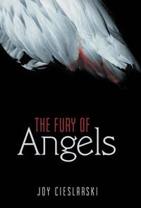 bokomslag Fury of Angels