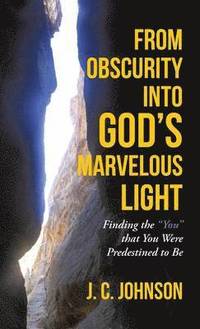 bokomslag From Obscurity into God's Marvelous Light