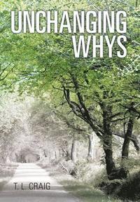 bokomslag Unchanging Whys