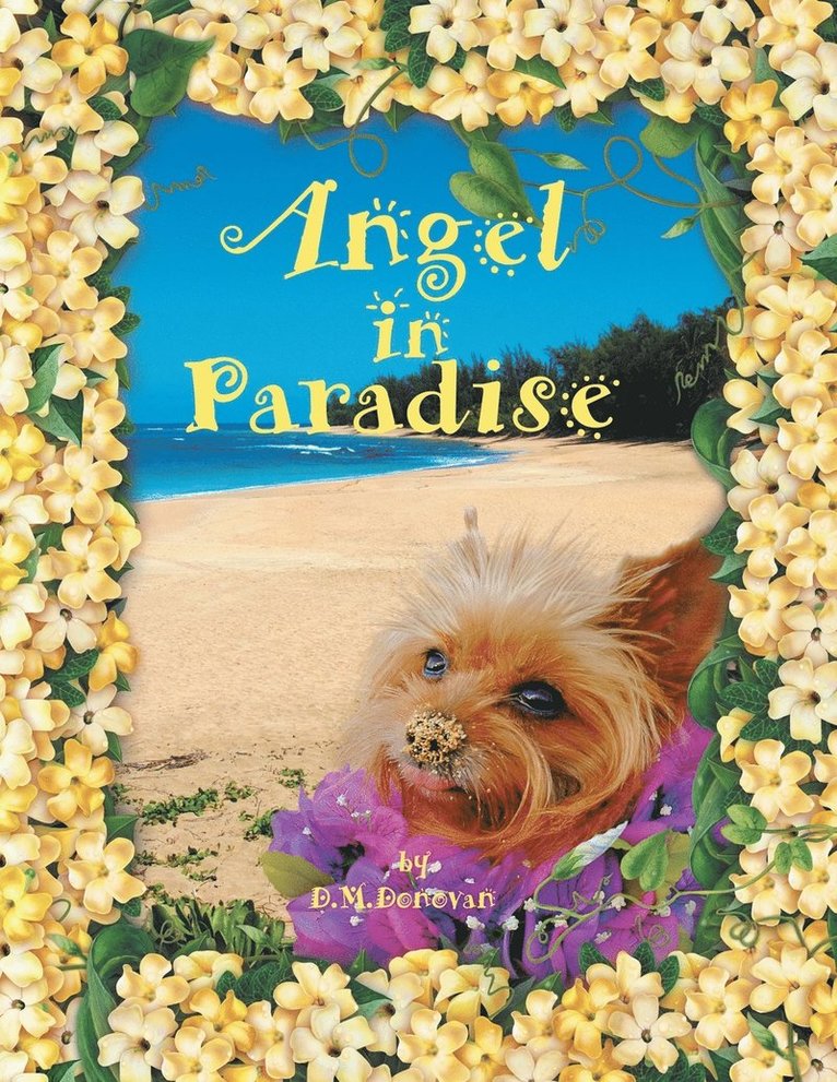 Angel in Paradise 1