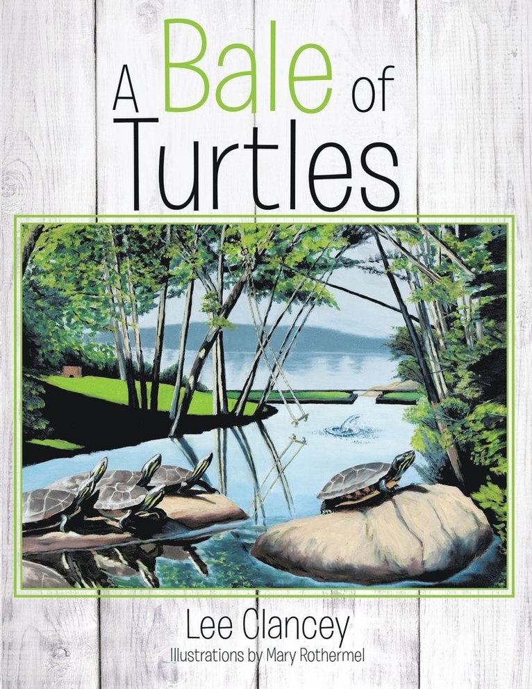 A Bale of Turtles 1